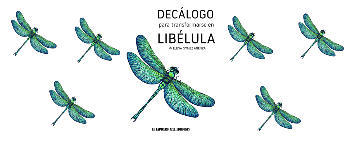 BANNER LIBELULA